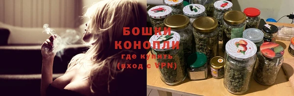 прущие крисы Карпинск
