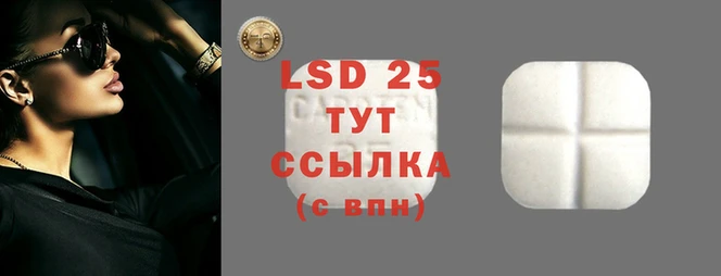 прущие крисы Карпинск